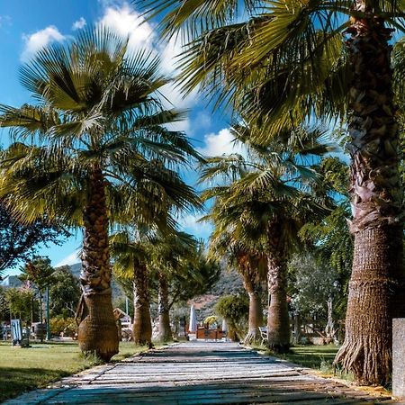Hotel Rural Finca La Herencia Guadalcanal Kültér fotó
